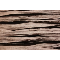 Papierband 15 meter - bruin (013)