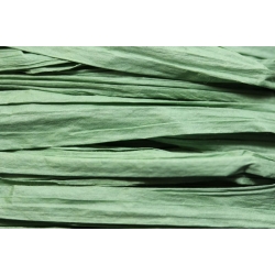 Papierband 15 meter - licht groen (014)
