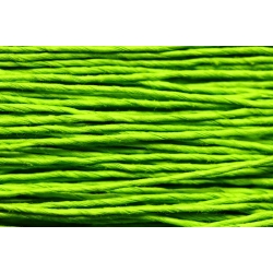 Papiergaren "Dun" 100gram - appelgroen (011) 