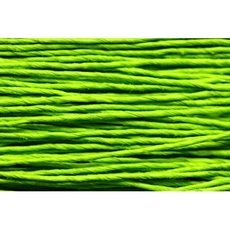 Papiergaren "Dun" 100gram - appelgroen (011) 