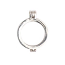 Frame voor geborduurde schijf voor ketting - zilver